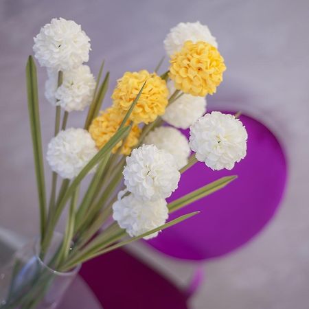 Luxury Boutique Studio Apartments 부드바 외부 사진